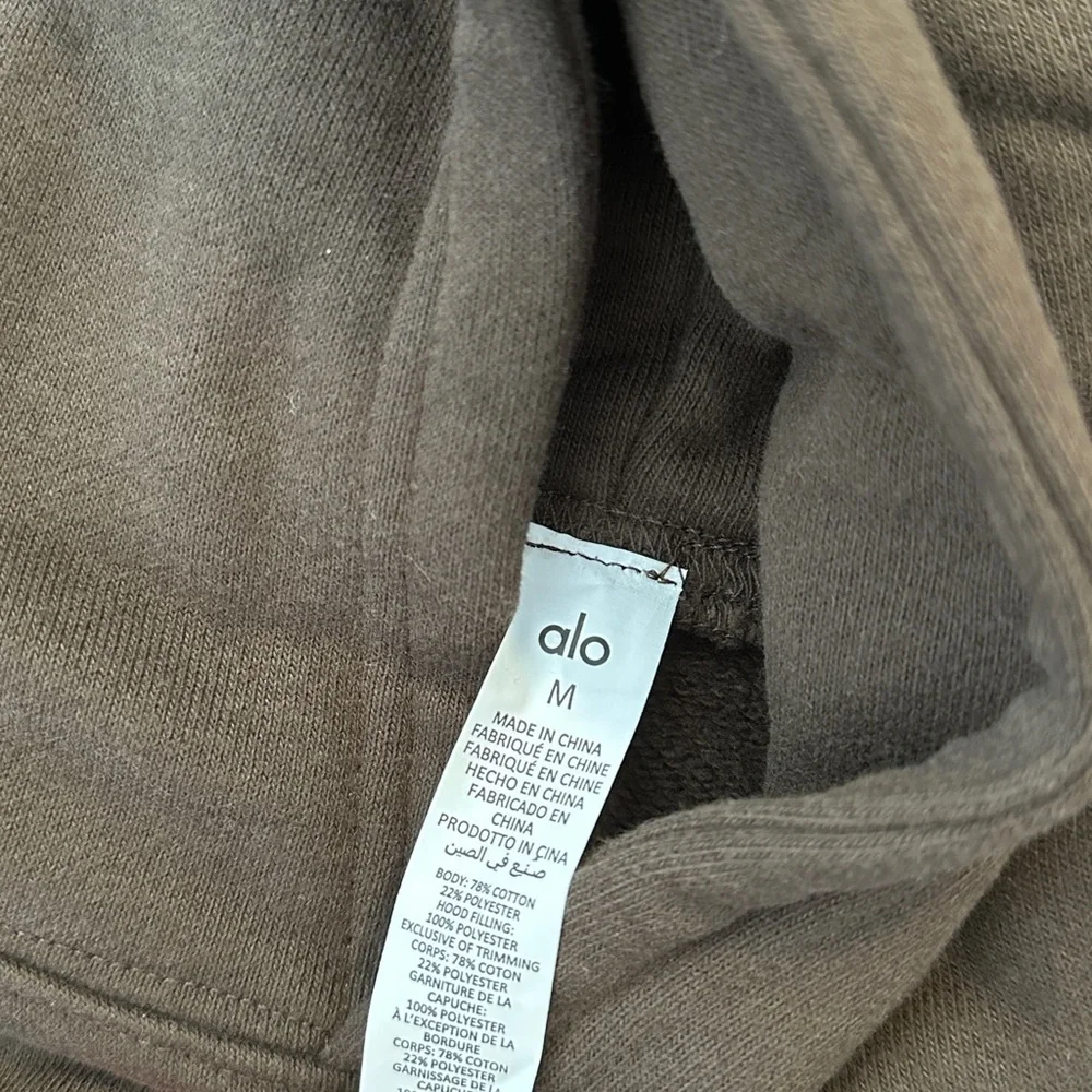 NEW ALO Yoga Renown Heavy Weight  Hoodie in Espresso Brown | size M - Picture 7 of 8